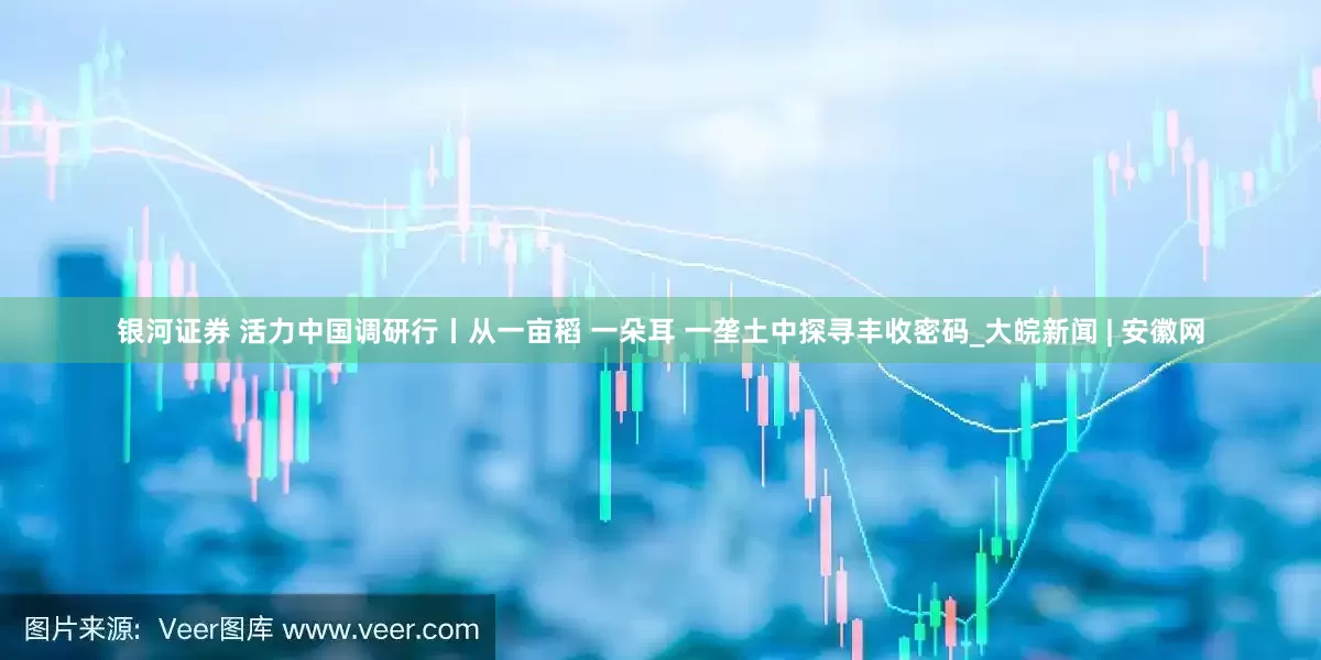 银河证券 活力中国调研行丨从一亩稻 一朵耳 一垄土中探寻丰收密码_大皖新闻 | 安徽网