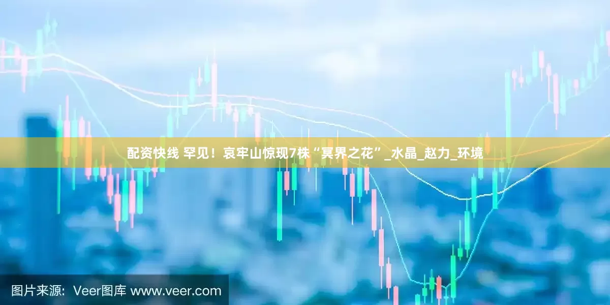 配资快线 罕见！哀牢山惊现7株“冥界之花”_水晶_赵力_环境