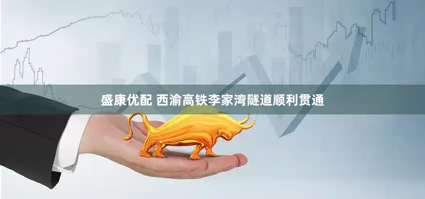 盛康优配 西渝高铁李家湾隧道顺利贯通