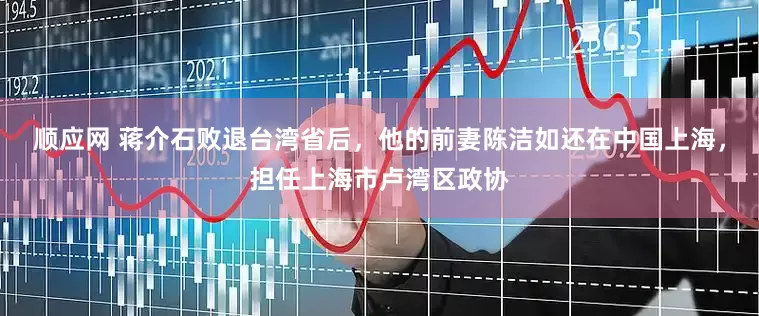 顺应网 蒋介石败退台湾省后，他的前妻陈洁如还在中国上海，担任上海市卢湾区政协